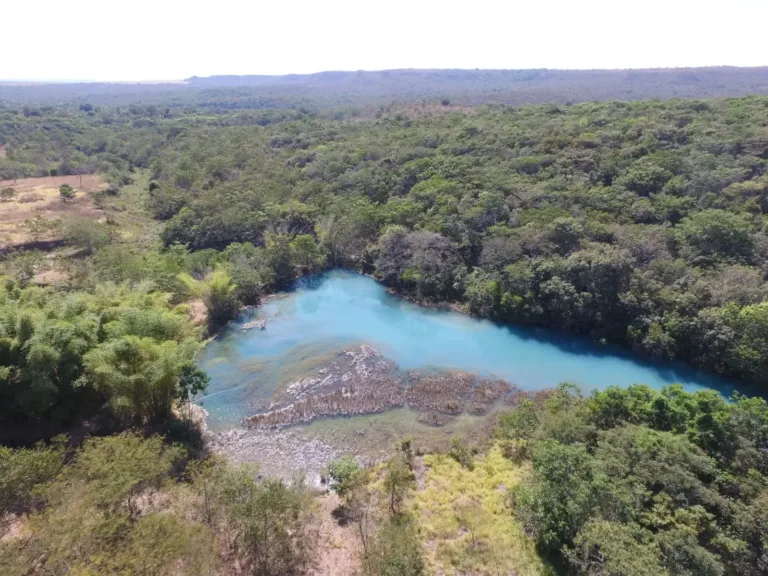 Escolas públicas de Goiás recebem livro sobre o Rio Araguaia e palestras gratuitas sobre o tema