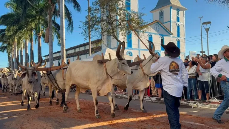 Número de fiéis que pernoitam em Trindade durante Romaria do Divino Pai Eterno aumentou em 2026